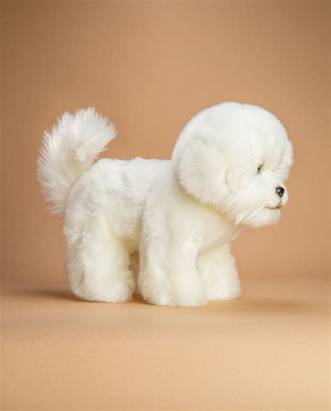 bichon frise gifts